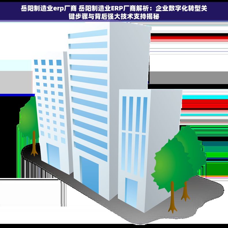 岳阳制造业erp厂商 岳阳制造业ERP厂商解析：企业数字化转型关键步骤与背后强大技术支持揭秘