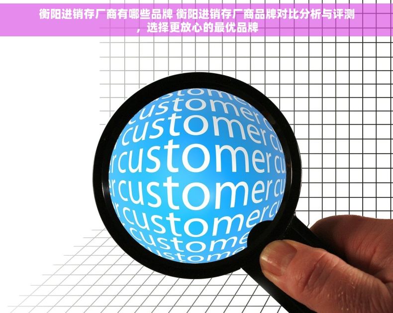 衡阳进销存厂商有哪些品牌 衡阳进销存厂商品牌对比分析与评测，选择更放心的最优品牌