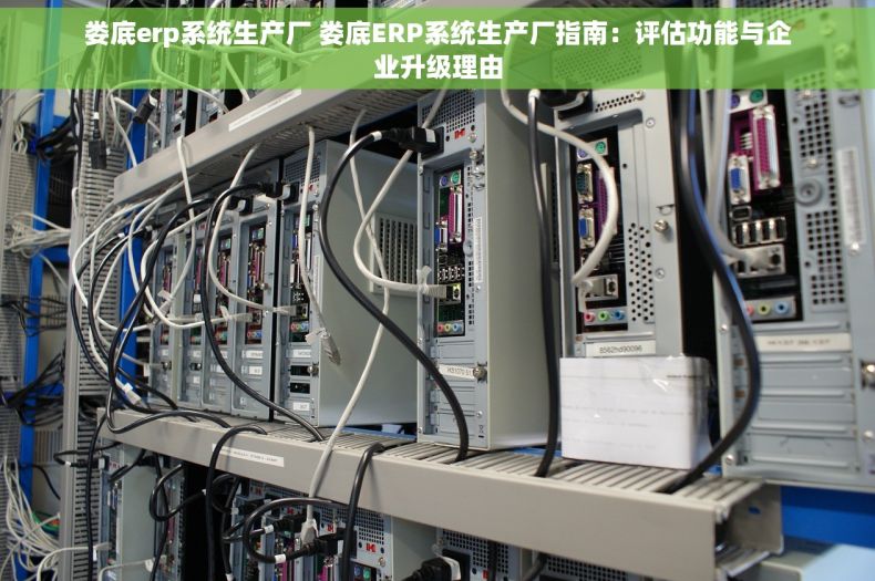 娄底erp系统生产厂 娄底ERP系统生产厂指南：评估功能与企业升级理由
