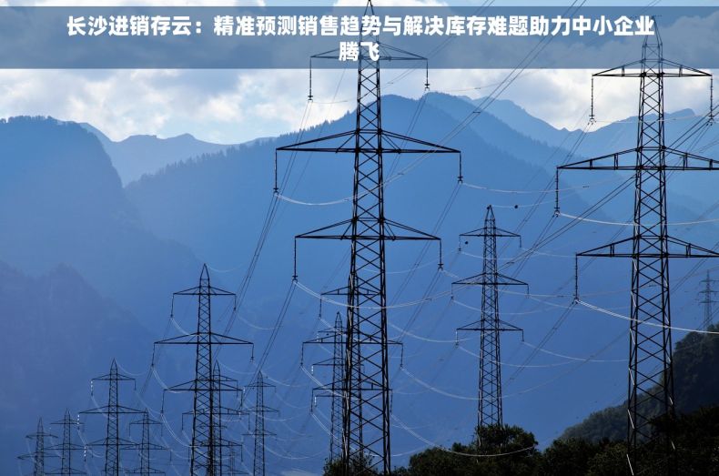 长沙进销存云：精准预测销售趋势与解决库存难题助力中小企业腾飞