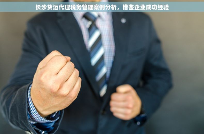 长沙货运代理税务管理案例分析，借鉴企业成功经验
