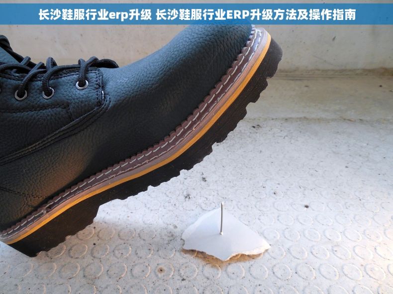 长沙鞋服行业erp升级 长沙鞋服行业ERP升级方法及操作指南