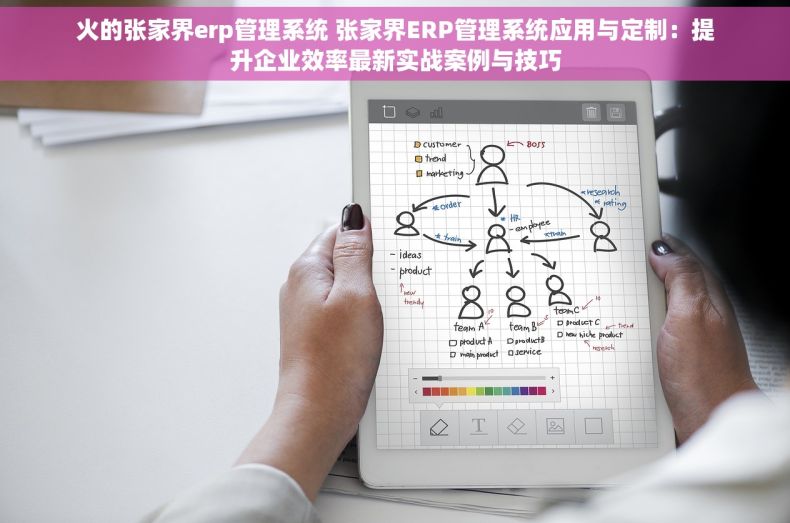 火的张家界erp管理系统 张家界ERP管理系统应用与定制：提升企业效率最新实战案例与技巧