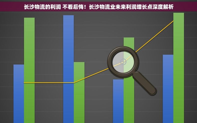 长沙物流的利润 不看后悔！长沙物流业未来利润增长点深度解析