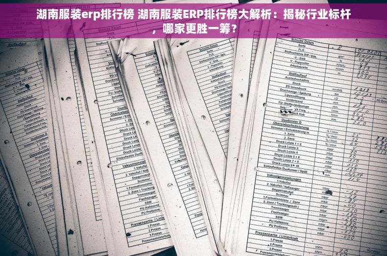 湖南服装erp排行榜 湖南服装ERP排行榜大解析：揭秘行业标杆，哪家更胜一筹？