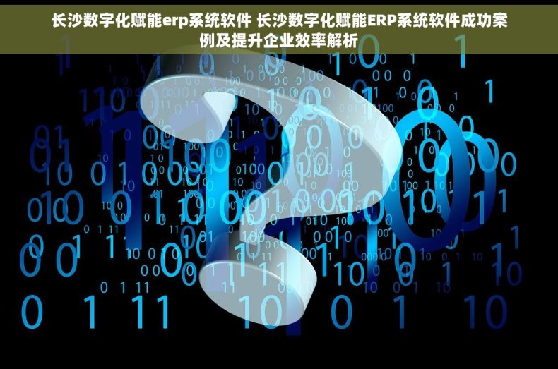 长沙数字化赋能erp系统软件 长沙数字化赋能ERP系统软件成功案例及提升企业效率解析