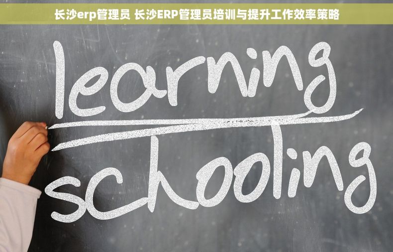 长沙erp管理员 长沙ERP管理员培训与提升工作效率策略