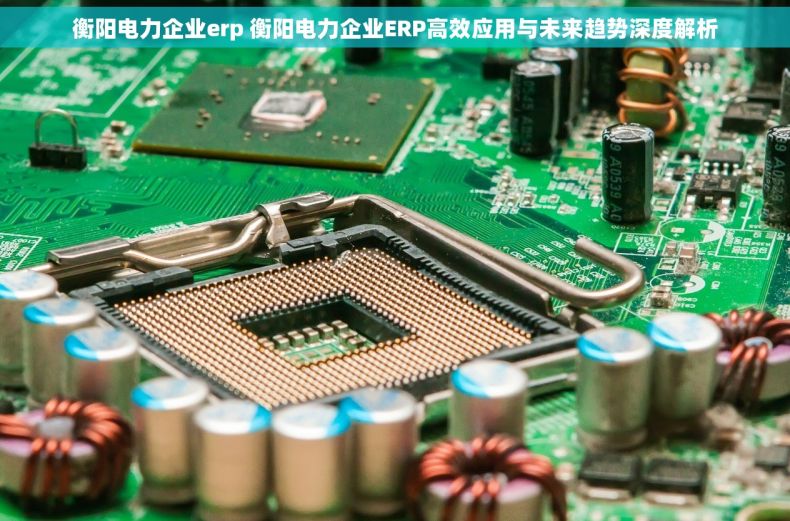 衡阳电力企业erp 衡阳电力企业ERP高效应用与未来趋势深度解析