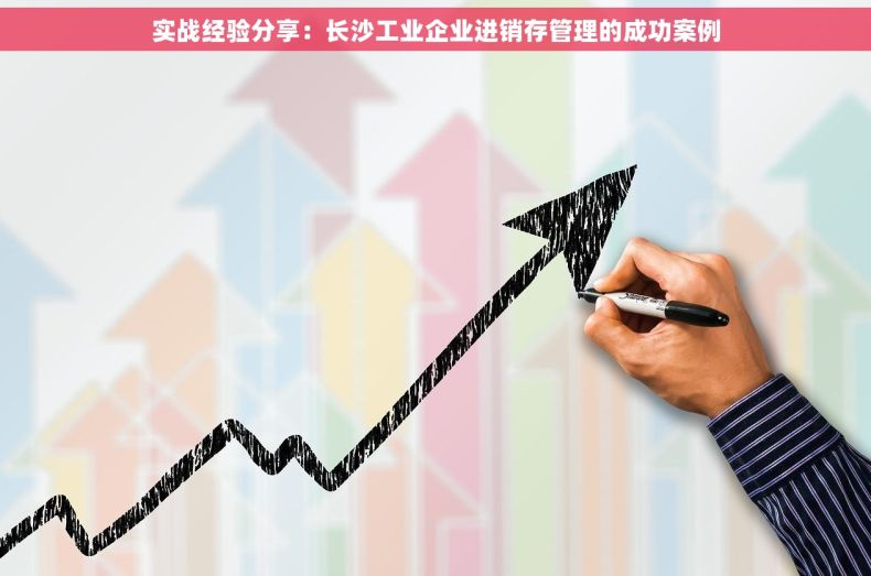 实战经验分享：长沙工业企业进销存管理的成功案例