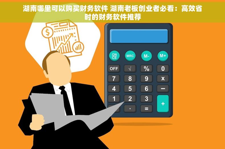 湖南哪里可以购买财务软件 湖南老板创业者必看：高效省时的财务软件推荐