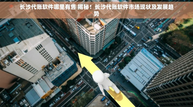长沙代账软件哪里有售 揭秘！长沙代账软件市场现状及发展趋势