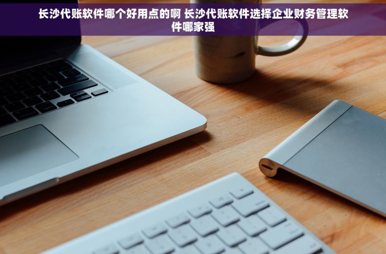 长沙代账软件哪个好用点的啊 长沙代账软件选择企业财务管理软件哪家强