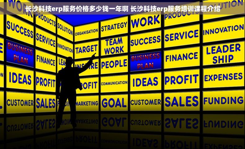 长沙科技erp服务价格多少钱一年啊 长沙科技erp服务培训课程介绍