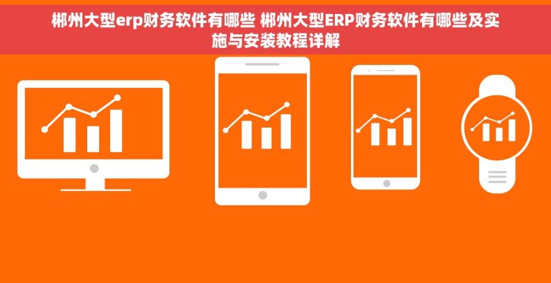 郴州大型erp财务软件有哪些 郴州大型ERP财务软件有哪些及实施与安装教程详解