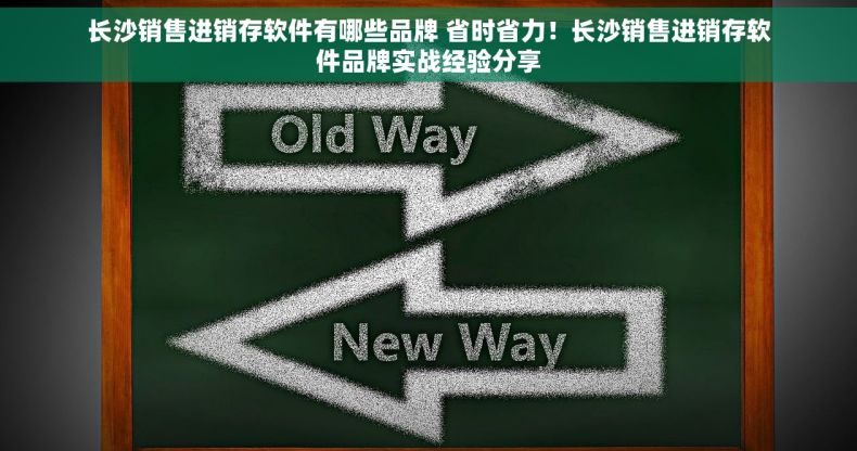 长沙销售进销存软件有哪些品牌 省时省力！长沙销售进销存软件品牌实战经验分享