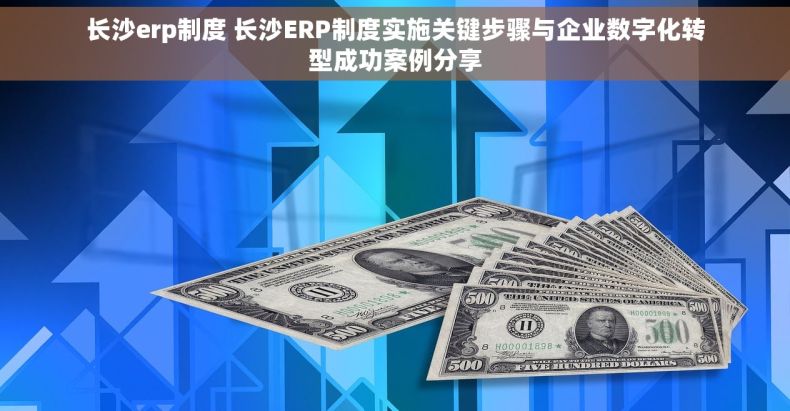 长沙erp制度 长沙ERP制度实施关键步骤与企业数字化转型成功案例分享