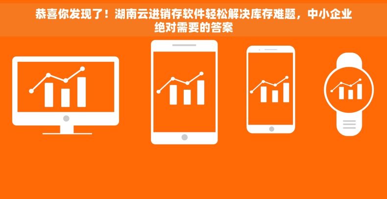 恭喜你发现了！湖南云进销存软件轻松解决库存难题，中小企业绝对需要的答案