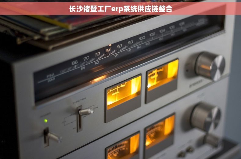 长沙诸暨工厂erp系统供应链整合