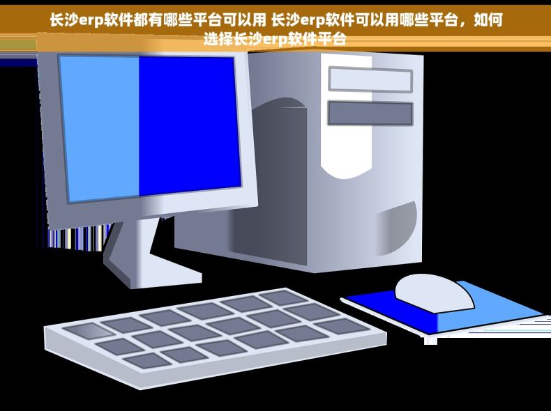 长沙erp软件都有哪些平台可以用 长沙erp软件可以用哪些平台，如何选择长沙erp软件平台