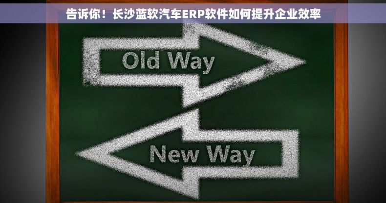 告诉你！长沙蓝软汽车ERP软件如何提升企业效率