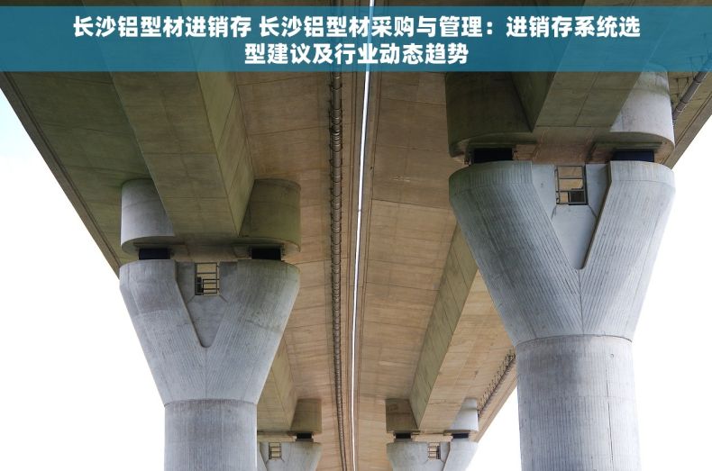 长沙铝型材进销存 长沙铝型材采购与管理：进销存系统选型建议及行业动态趋势
