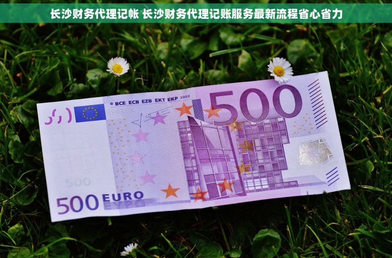 长沙财务代理记帐 长沙财务代理记账服务最新流程省心省力