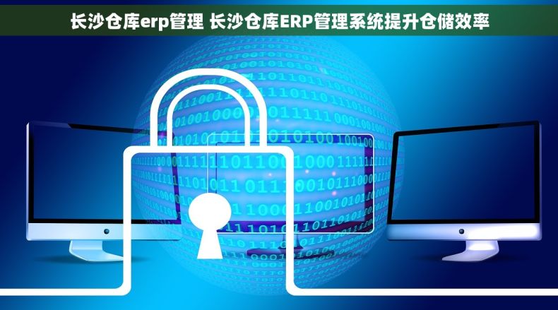 长沙仓库erp管理 长沙仓库ERP管理系统提升仓储效率