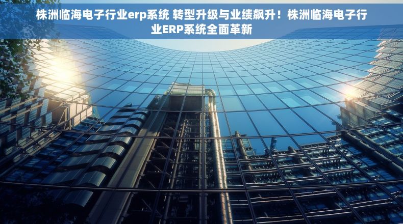 株洲临海电子行业erp系统 转型升级与业绩飙升！株洲临海电子行业ERP系统全面革新