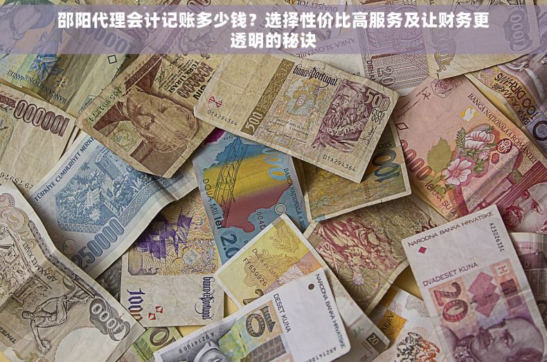 邵阳代理会计记账多少钱？选择性价比高服务及让财务更透明的秘诀