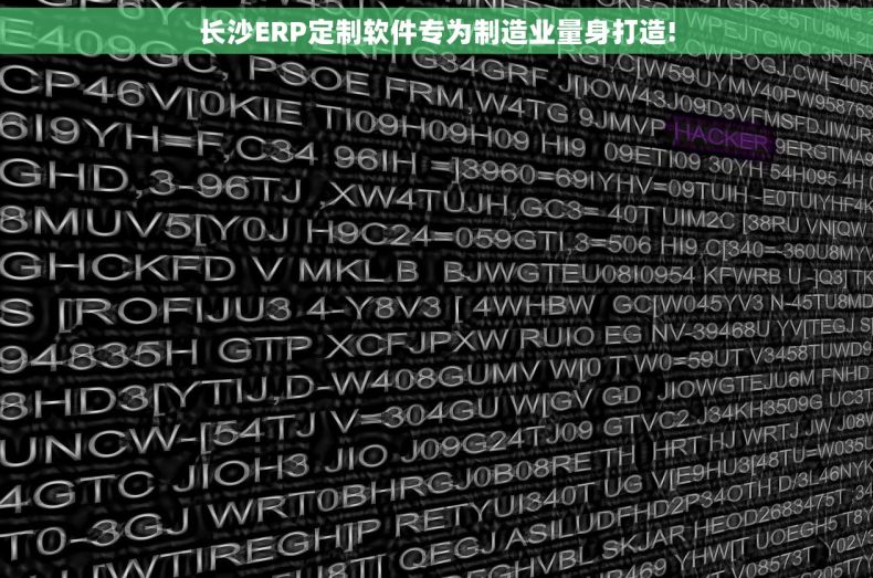 长沙ERP定制软件专为制造业量身打造!