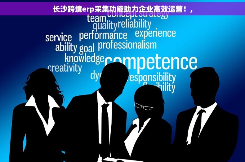 长沙跨境erp采集功能助力企业高效运营！,