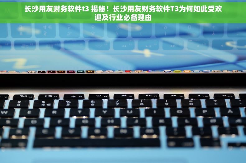长沙用友财务软件t3 揭秘！长沙用友财务软件T3为何如此受欢迎及行业必备理由