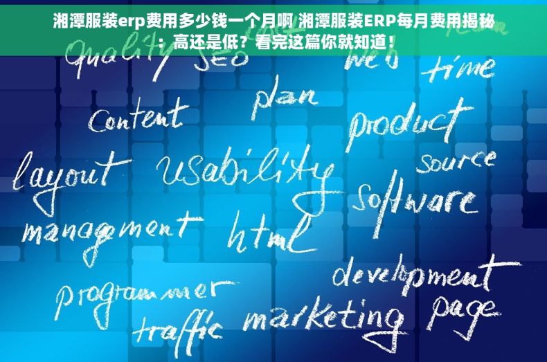 湘潭服装erp费用多少钱一个月啊 湘潭服装ERP每月费用揭秘：高还是低？看完这篇你就知道！