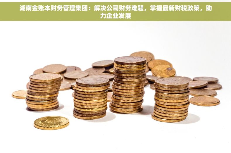 湖南金账本财务管理集团：解决公司财务难题，掌握最新财税政策，助力企业发展