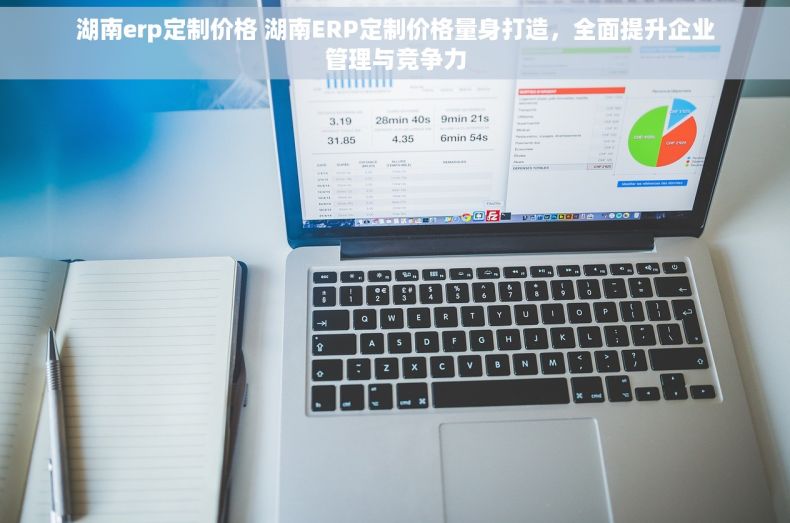 湖南erp定制价格 湖南ERP定制价格量身打造，全面提升企业管理与竞争力