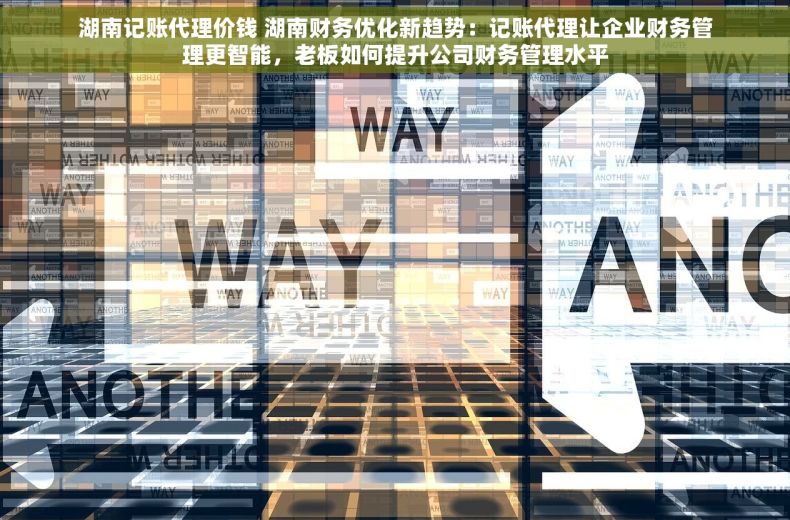 湖南记账代理价钱 湖南财务优化新趋势：记账代理让企业财务管理更智能，老板如何提升公司财务管理水平