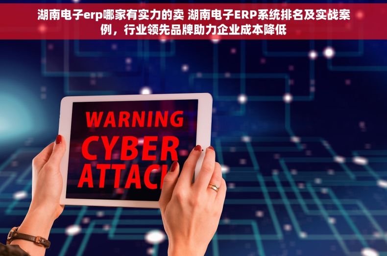 湖南电子erp哪家有实力的卖 湖南电子ERP系统排名及实战案例，行业领先品牌助力企业成本降低