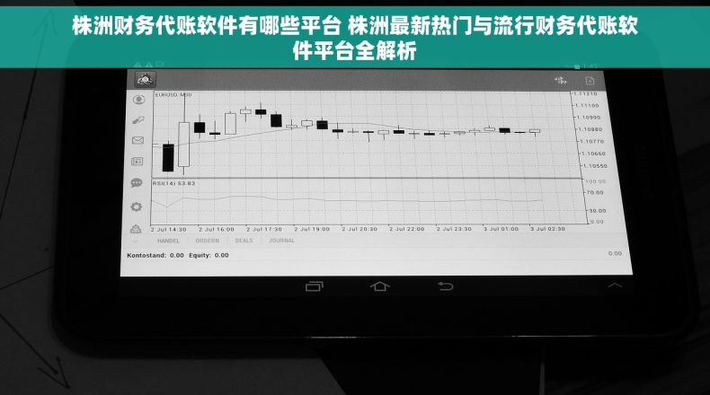株洲财务代账软件有哪些平台 株洲最新热门与流行财务代账软件平台全解析