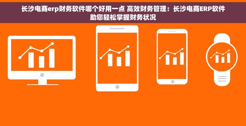 长沙电商erp财务软件哪个好用一点 高效财务管理：长沙电商ERP软件助您轻松掌握财务状况
