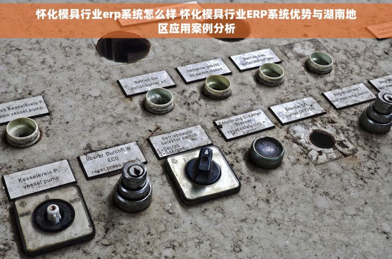 怀化模具行业erp系统怎么样 怀化模具行业ERP系统优势与湖南地区应用案例分析