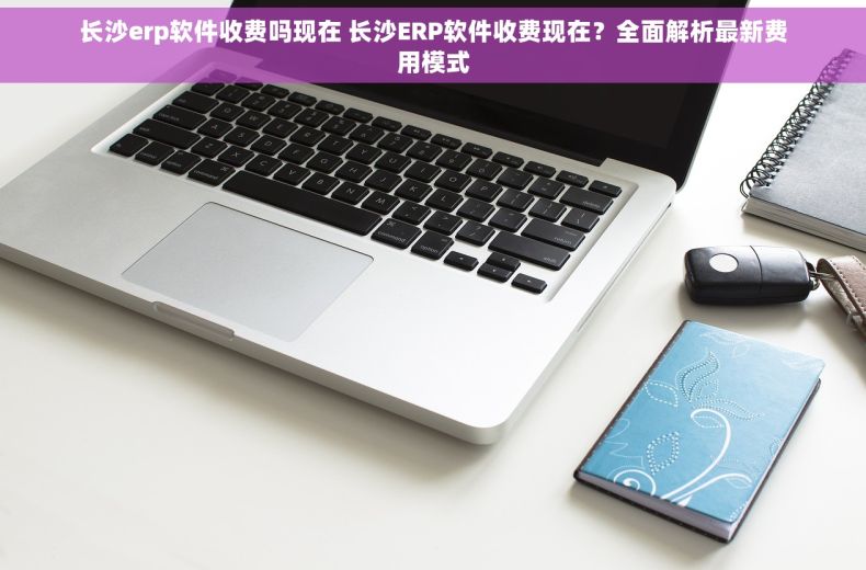 长沙erp软件收费吗现在 长沙ERP软件收费现在？全面解析最新费用模式