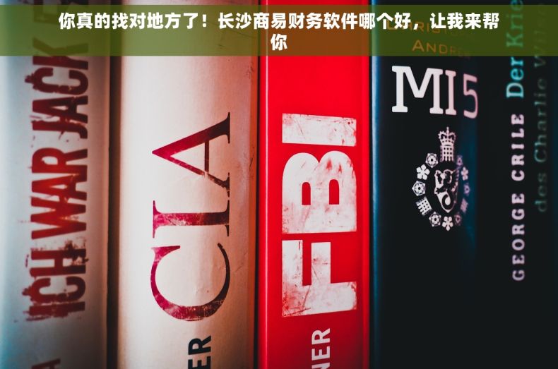你真的找对地方了！长沙商易财务软件哪个好，让我来帮你