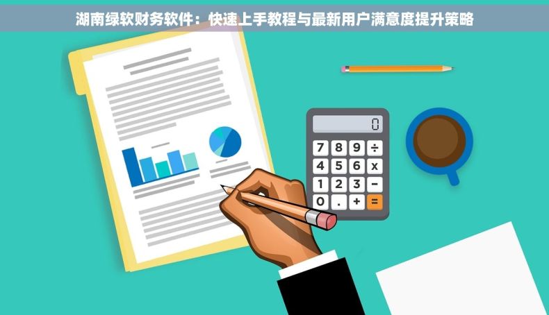 湖南绿软财务软件：快速上手教程与最新用户满意度提升策略