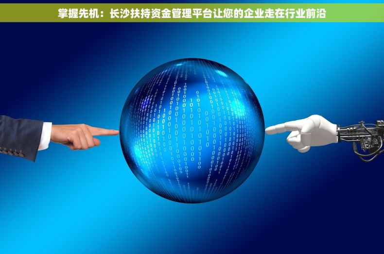 掌握先机：长沙扶持资金管理平台让您的企业走在行业前沿