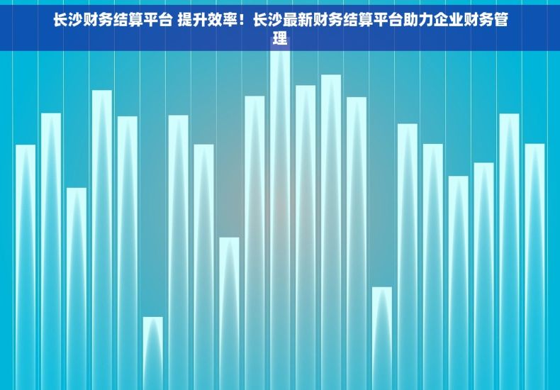长沙财务结算平台 提升效率！长沙最新财务结算平台助力企业财务管理