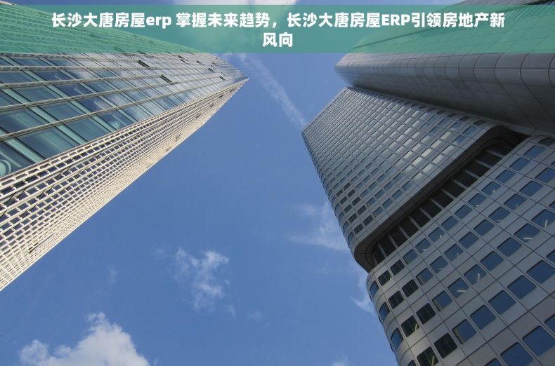 长沙大唐房屋erp 掌握未来趋势，长沙大唐房屋ERP引领房地产新风向
