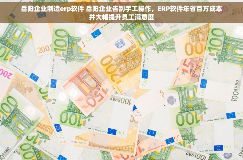 岳阳企业制造erp软件 岳阳企业告别手工操作，ERP软件年省百万成本并大幅提升员工满意度