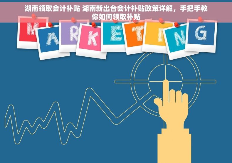 湖南领取会计补贴 湖南新出台会计补贴政策详解，手把手教你如何领取补贴