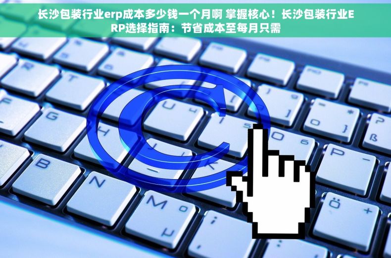 长沙包装行业erp成本多少钱一个月啊 掌握核心！长沙包装行业ERP选择指南：节省成本至每月只需