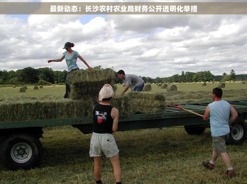 最新动态：长沙农村农业局财务公开透明化举措